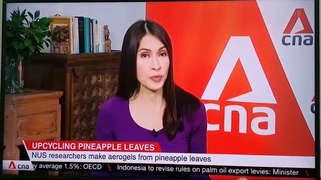 Pineapple aerogel cna Pineapple aerogel cna