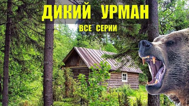 Дикий год в глухой тайге все серии истории из жизни в лесу жизнь в зимовье судьба сериал 2023 Дикий год в глухой тайге все серии истории из жизни в лесу жизнь в зимовье судьба сериал 2023
