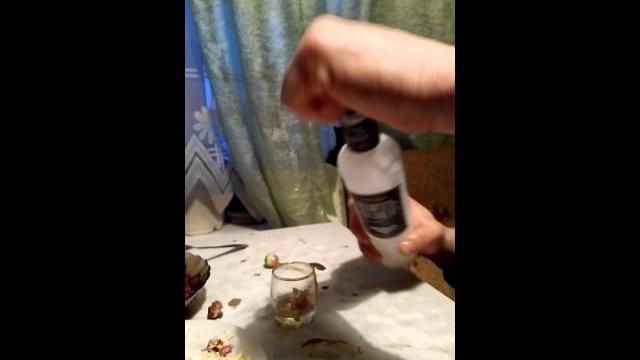 Вотка паленка Вотка паленка