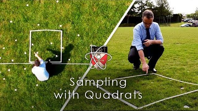 Sampling with quadrats - gcse biology required practical Sampling with quadrats - gcse biology required practical