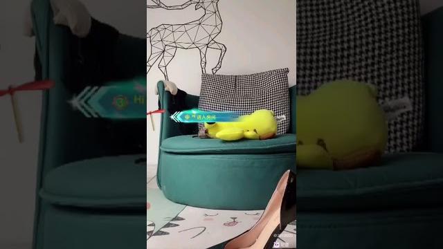 易直播 小月半 裸足倒计时 易直播 小月半 裸足倒计时