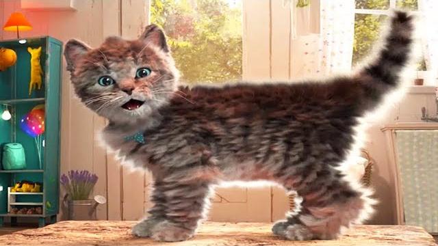 Fun pet care game - little kitten adventures (new update) - play costume dress-up party gamepaly Fun pet care game - little kitten adventures (new update) - play costume dress-up party gamepaly