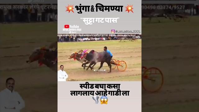 “भुंगा & चिमण्या” हिंदकेसरी पेडगाव मैदानात गट पास#p3live#shorts#trending#ytshorts#viral#short#live “भुंगा & चिमण्या” हिंदकेसरी पेडगाव मैदानात गट पास#p3live#shorts#trending#ytshorts#viral#short#live
