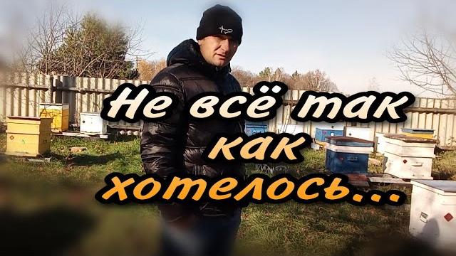Объединил слабаков. пасека на роях. Объединил слабаков. пасека на роях.