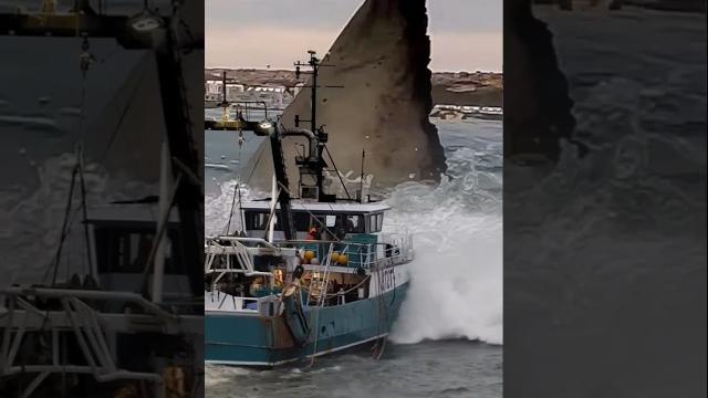 Look! giant shark monster passed in front of our fishing boat! 🪸 #giantcreature #deepseafishing Look! giant shark monster passed in front of our fishing boat! 🪸 #giantcreature #deepseafishing