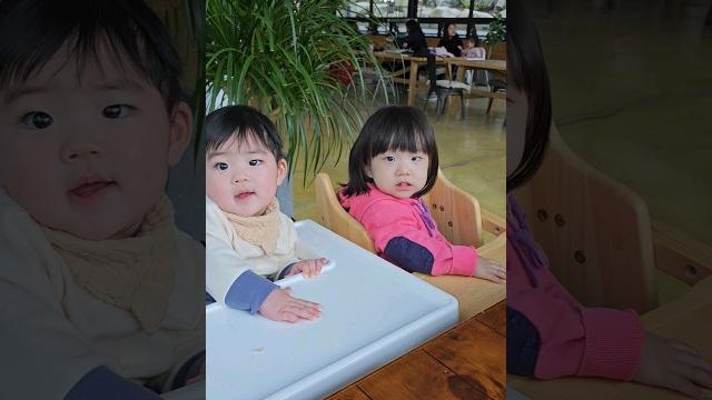 사촌누나랑 카페 왔찌옹️ #7개월아기 #육아일상 #baby 사촌누나랑 카페 왔찌옹️ #7개월아기 #육아일상 #baby