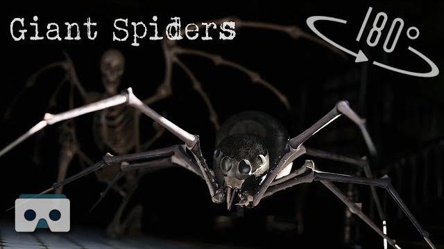 Scary vr video with giant spiders & horror monsters: virtual reality halloween 3d videos for vr box Scary vr video with giant spiders & horror monsters: virtual reality halloween 3d videos for vr box
