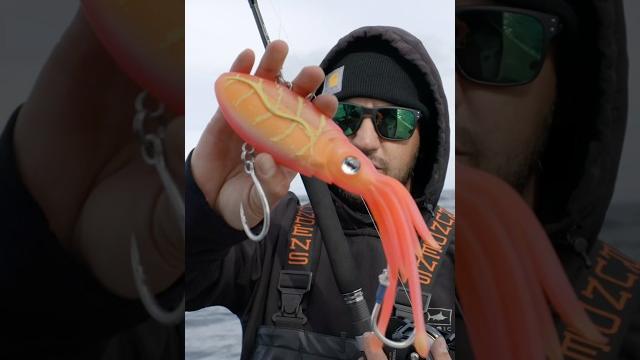 This lure crushed big rockfish! #shorts #fishing This lure crushed big rockfish! #shorts #fishing
