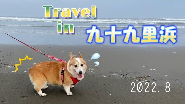 【blog】キティさんの日常#24 九十九里浜編 【blog】キティさんの日常#24 九十九里浜編