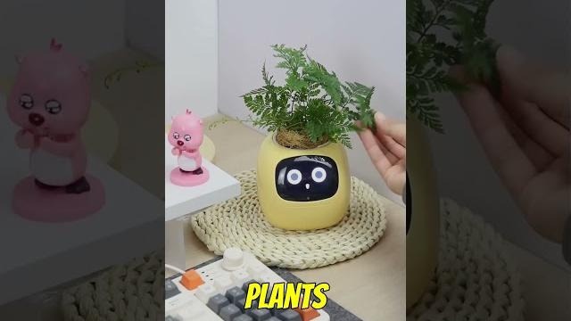 Three things that prove japan is living in 2050 Three things that prove japan is living in 2050