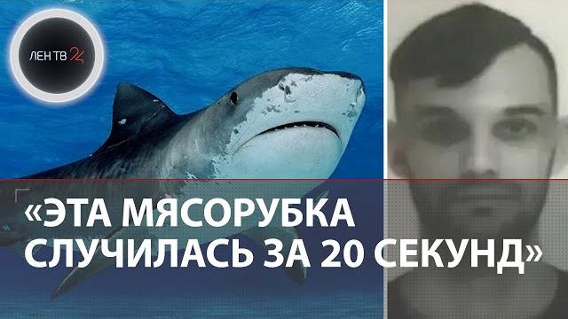 Акула съела россиянина в египте | все подробности трагедии на курорте хургада | что с акулой? Акула съела россиянина в египте | все подробности трагедии на курорте хургада | что с акулой?