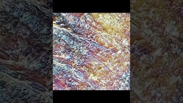 Как выглядит банан под микроскопом Как выглядит банан под микроскопом
