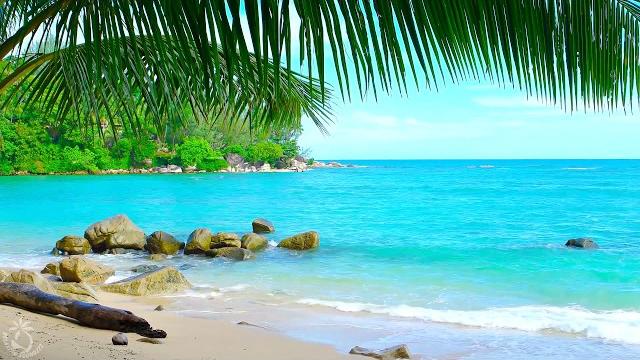 Tropical beach ambience on a island in thailand with ocean sounds for relaxation & holiday feeling Tropical beach ambience on a island in thailand with ocean sounds for relaxation & holiday feeling
