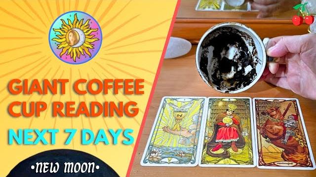 Next 7 days "unlike anything i have seen! best time of your life!" giant coffee cup & tarot Next 7 days "unlike anything i have seen! best time of your life!" giant coffee cup & tarot