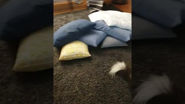 Pillow jump Pillow jump