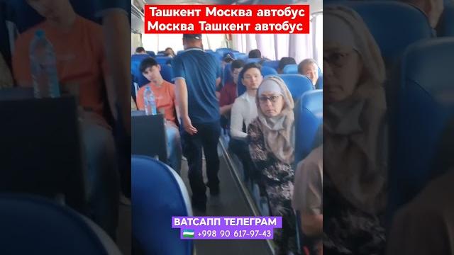 Ташкент москва автобус москва ташкент автобус давлат рейслари хизмати прямой рейс #ташкент #москва Ташкент москва автобус москва ташкент автобус давлат рейслари хизмати прямой рейс #ташкент #москва