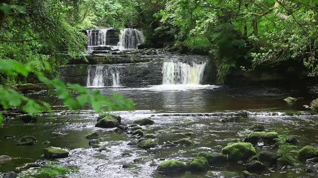 Forest waterfall nature sounds for sleeping - relaxing water flowing sound mindfulness meditation Forest waterfall nature sounds for sleeping - relaxing water flowing sound mindfulness meditation