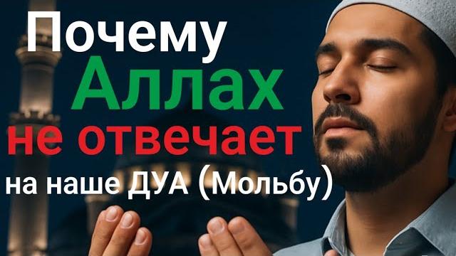 Почему аллах не отвечает на наше дуа (мольбу)? и что сделать чтобы он ответил #дуа#мольба#аллах Почему аллах не отвечает на наше дуа (мольбу)? и что сделать чтобы он ответил #дуа#мольба#аллах