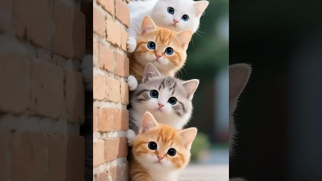 Bocil comel Bocil comel