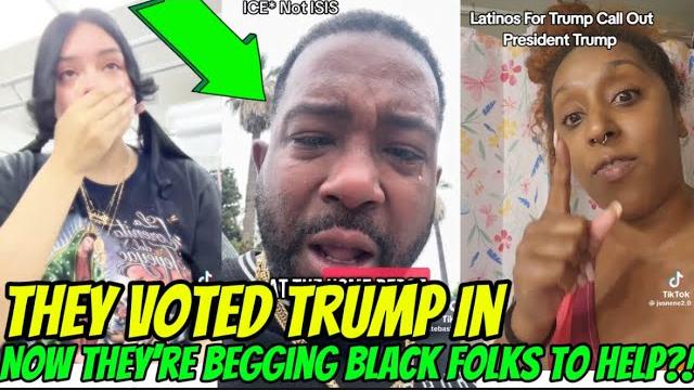 Trump’s ice is hunting latinos like animals—now they’re begging black folks to help!”#usa. Trump’s ice is hunting latinos like animals—now they’re begging black folks to help!”#usa.