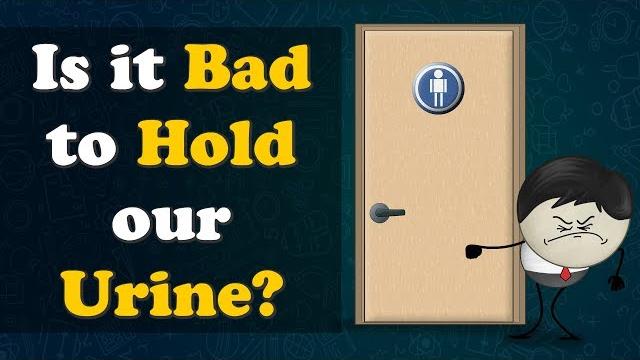 Is it bad to hold our urine? + more videos | #aumsum #kids #science #education #children Is it bad to hold our urine? + more videos | #aumsum #kids #science #education #children