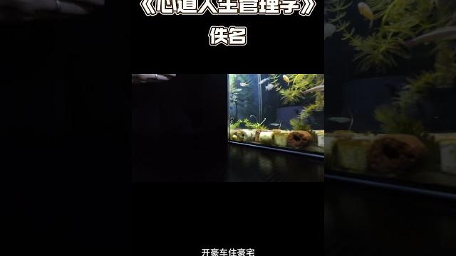 心道人生管理学 佚名 心道人生管理学 佚名
