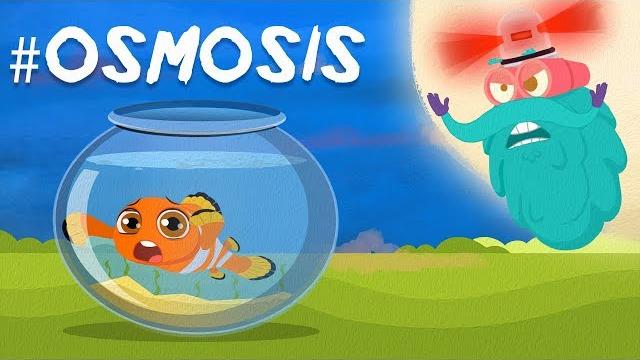 What is osmosis? | the dr. binocs show | best learning videos for kids | peekaboo kidz What is osmosis? | the dr. binocs show | best learning videos for kids | peekaboo kidz