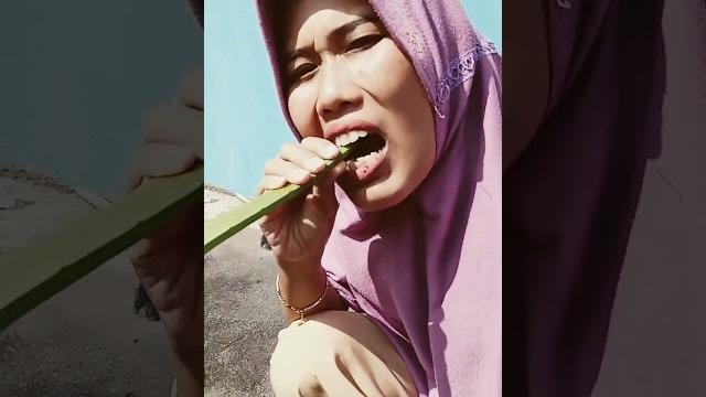 Ada yang mau lidah buaya#shorts Ada yang mau lidah buaya#shorts
