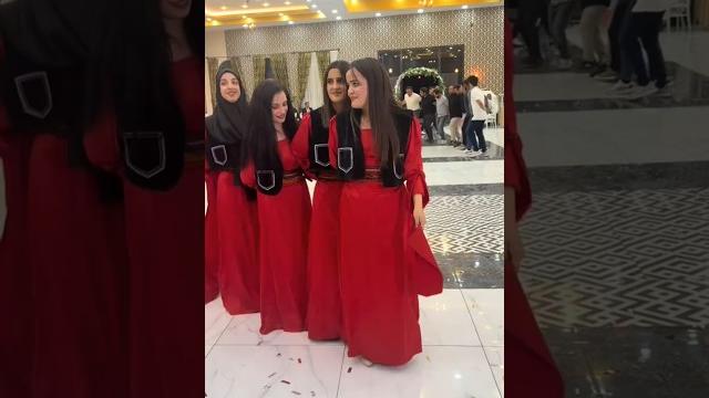 Bervan argeş #kurtcemuzik #düğün #halay #gelin #kurdish #kurtce #batman #duet #wedding #stitch Bervan argeş #kurtcemuzik #düğün #halay #gelin #kurdish #kurtce #batman #duet #wedding #stitch