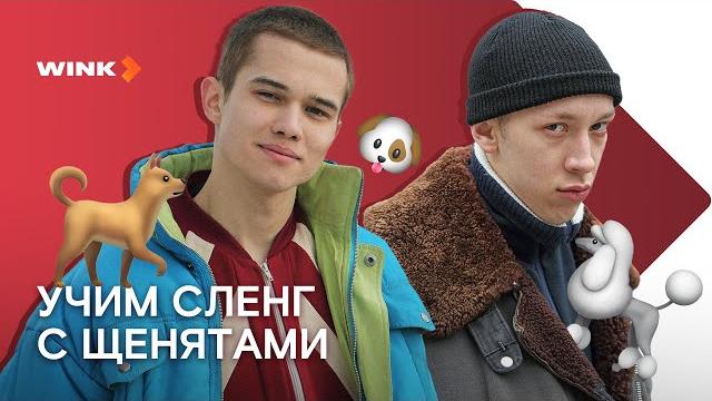 Актеры сериала «слово пацана» учат сленг с щенками (2023) wink Актеры сериала «слово пацана» учат сленг с щенками (2023) wink