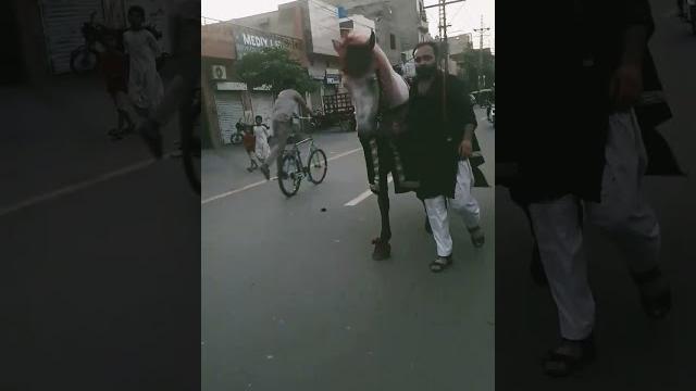Zuljinah king Zuljinah king