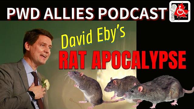 Is bc's rat infestation out of control since 2022? Is bc's rat infestation out of control since 2022?