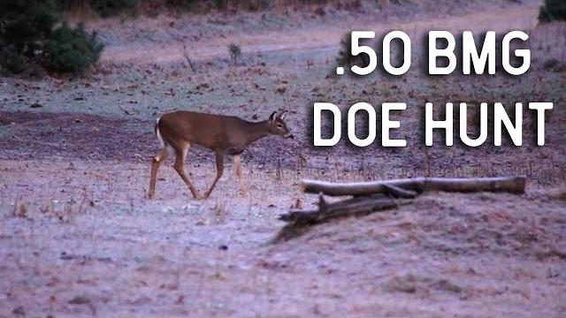 Unbelievable .50 bmg whitetail deer hunt at legends ranch Unbelievable .50 bmg whitetail deer hunt at legends ranch