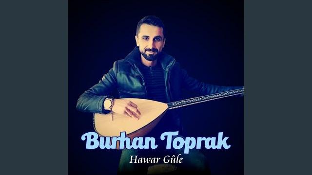 Hawar güle Hawar güle