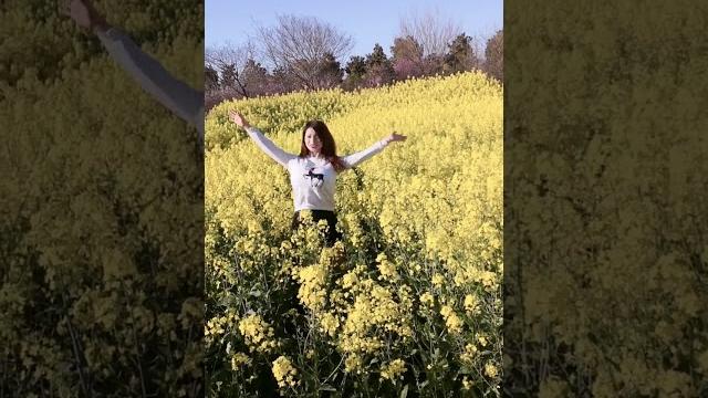 G奶熟妇花中起舞 rose 汤汤 【tiktok 虎牙 快手 抖音】 G奶熟妇花中起舞 rose 汤汤 【tiktok 虎牙 快手 抖音】