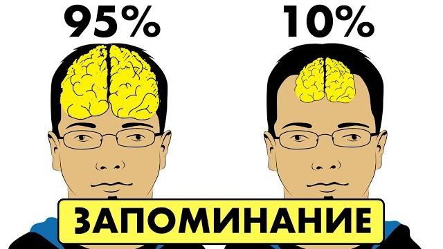 12 секретов, как улучшить память. лайфхаки для мозга 12 секретов, как улучшить память. лайфхаки для мозга