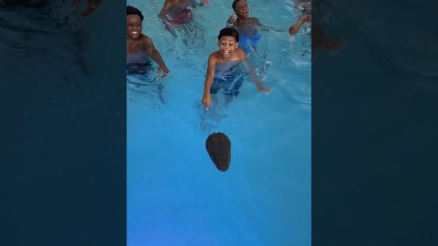 Dad makes kids get out of pool after seeing a alligator #shorts Dad makes kids get out of pool after seeing a alligator #shorts
