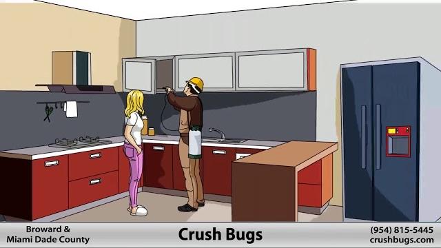 Pest control broward | crush bugs Pest control broward | crush bugs