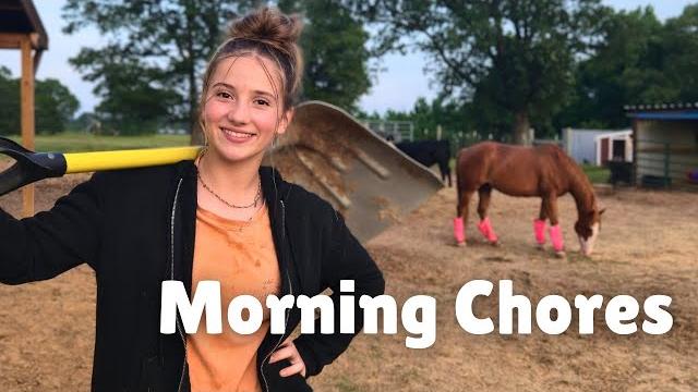Farm morning routine | 60+ animals Farm morning routine | 60+ animals