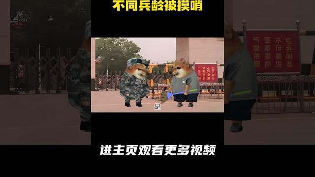 不同兵龄被摸哨 #cheems 不同兵龄被摸哨 #cheems