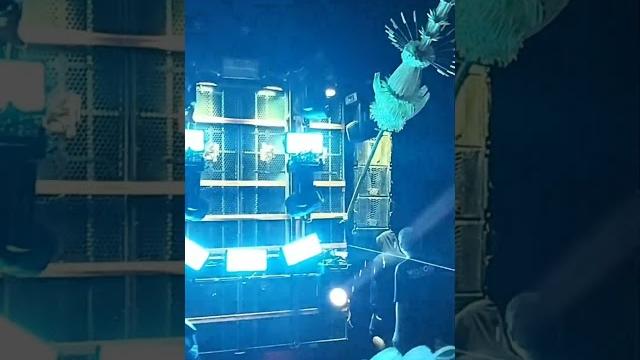 Dj sebujur bangkai x brewog audio #short Dj sebujur bangkai x brewog audio #short