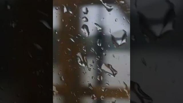 Jembatan gantung lubuk bendaharo dari pekanbaru-pasir pangaraian,#viralvideo #video #fyp#viralshorts Jembatan gantung lubuk bendaharo dari pekanbaru-pasir pangaraian,#viralvideo #video #fyp#viralshorts