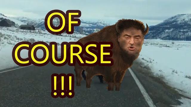 The fat brown buffalo vs aiu meme The fat brown buffalo vs aiu meme