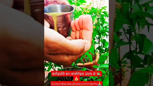गन्ने के रस का उपाय से आप करोड़पति बन जावोगेvideo पूरा देखो#पड़ित प्रदीप मिश्रा जी उपाय subscrib गन्ने के रस का उपाय से आप करोड़पति बन जावोगेvideo पूरा देखो#पड़ित प्रदीप मिश्रा जी उपाय subscrib