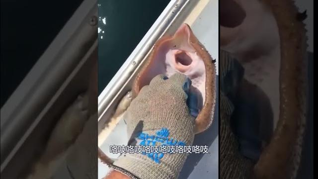 给鱼挠痒痒~ 给鱼挠痒痒~