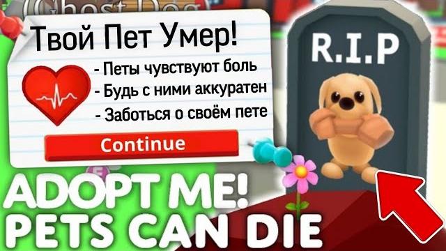 Чтоо? твой пет умер! ️ новое обновление в адопт ми! питомцы могут умирать | roblox adopt me! Чтоо? твой пет умер! ️ новое обновление в адопт ми! питомцы могут умирать | roblox adopt me!