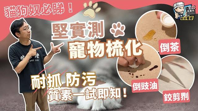 【貓奴狗奴必睇】真高質寵物梳化 耐抓防污 唔試唔知質素好!|simon做一件離譜的事? 現場實測:鉸剪𠝹 倒豉油!|高性價比梳化點樣揀 一定要知的三件事|裝修佬 hkdecoman #giormani 【貓奴狗奴必睇】真高質寵物梳化 耐抓防污 唔試唔知質素好!|simon做一件離譜的事? 現場實測:鉸剪𠝹 倒豉油!|高性價比梳化點樣揀 一定要知的三件事|裝修佬 hkdecoman #giormani