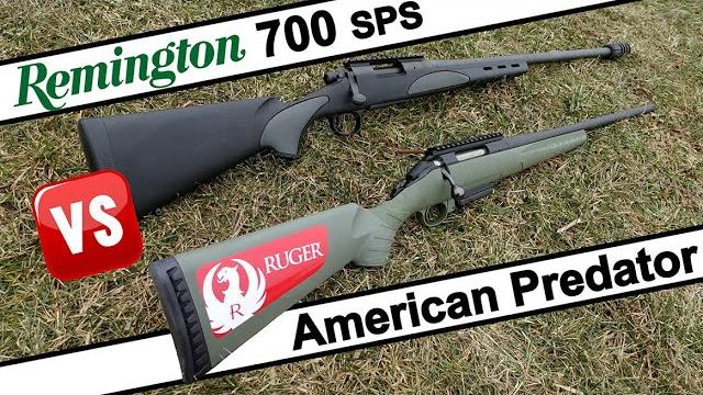 Remington 700 vs ruger american predator Remington 700 vs ruger american predator