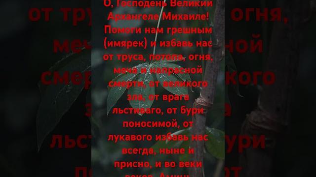 О, господень великий архангеле михаиле! помоги нам грешным #молитва #молитвысвятым #иисус О, господень великий архангеле михаиле! помоги нам грешным #молитва #молитвысвятым #иисус
