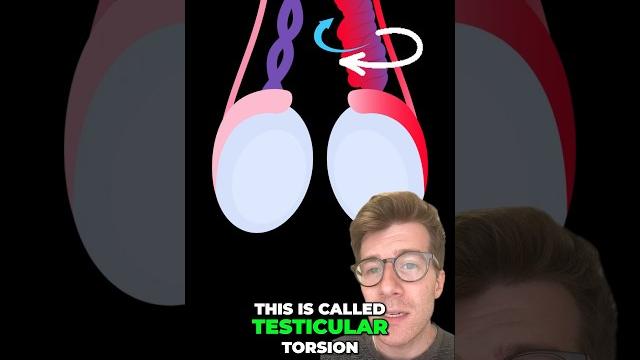 Testicular torsion - 5 symptoms #shorts Testicular torsion - 5 symptoms #shorts